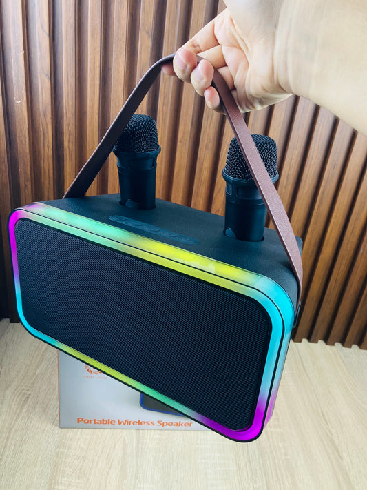 Speaker karaoke professional